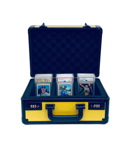 Zion Slab Case
